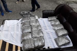 Mojkovac: Oduzeto oko 47 kg marihuane, uhapšen osumnčeni