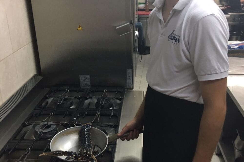 Miloš Koković, Foto: Vuk Lajović