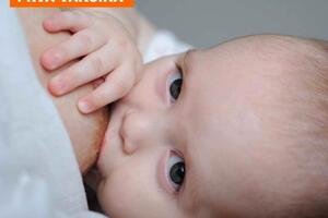 Istine i zablude o dojenju