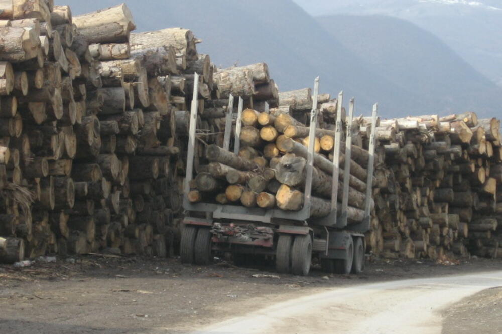 drva, sječa drva, Foto: Tufik Softić