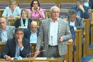 DF: Godišnji odmor možda provedemo u Skupštini kako bi se branili...