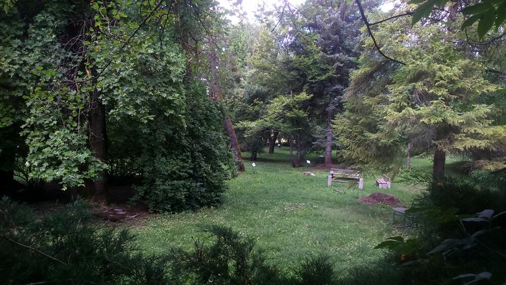 arboretum porodice Kovačević