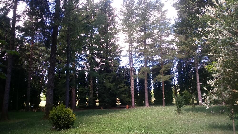 arboretum porodice Kovačević