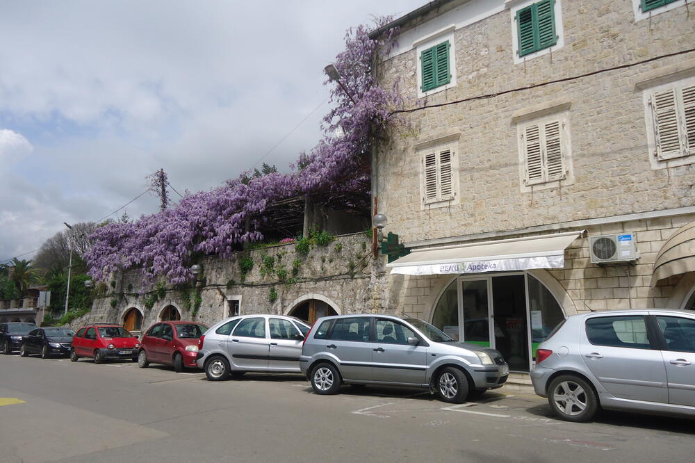 Herceg Novi, Foto: Slavica Kosić