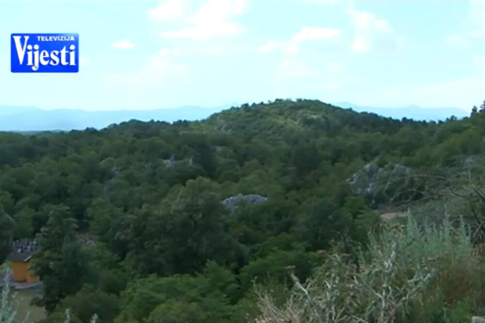 Studenačke glavice, Foto: Printscreen (YouTube)