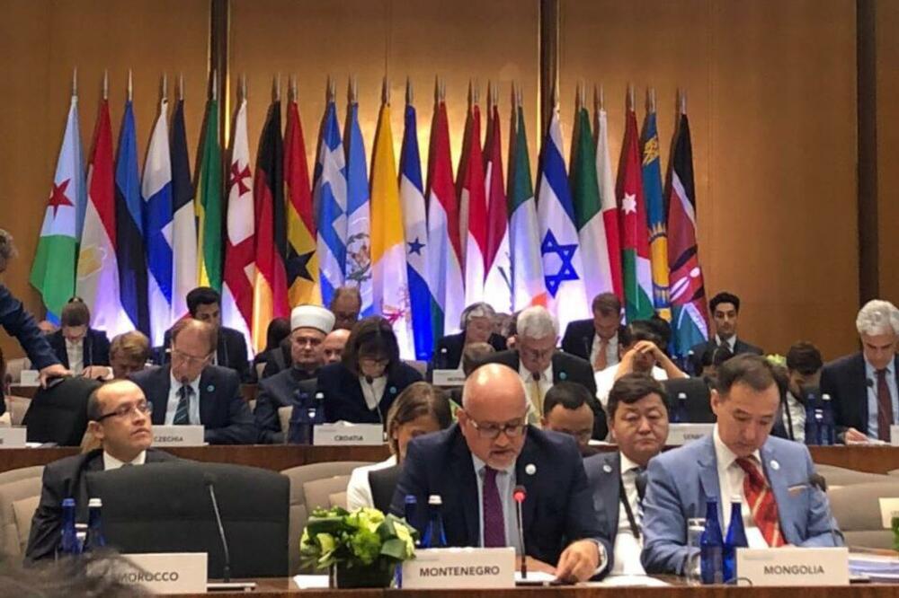 Srđa Darmanović, Foto: Ministarstvo vanjskih poslova