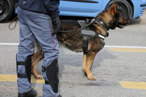 Kolumbijski kartel daje 70.000 dolara za smrt policijskog psa