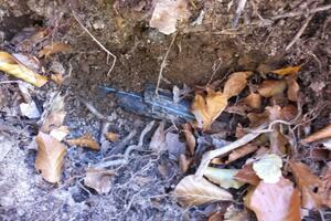 Policija još ne zna kome smeta izvorište Male vode