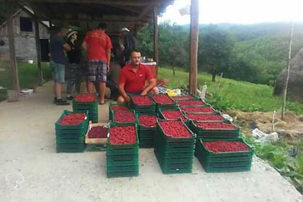 maline, Andija Delić, Foto: Privatna arhiva
