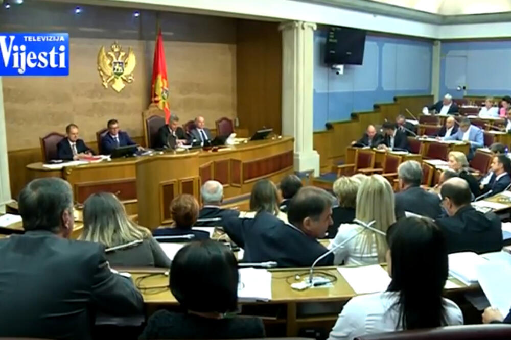 Skupština, Foto: Screenshot (Youtube)