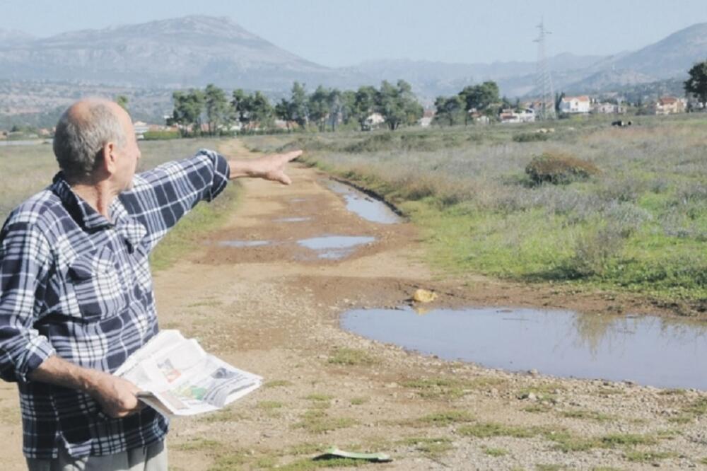 Sadina, Foto: Vesko Belojević