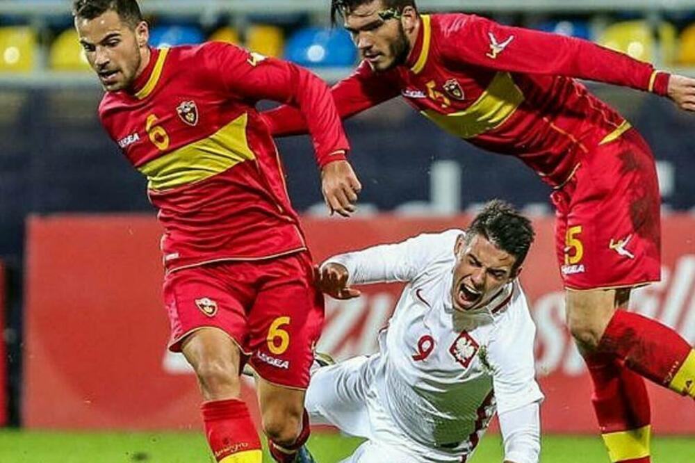 Dejan Kotorac, Foto: --