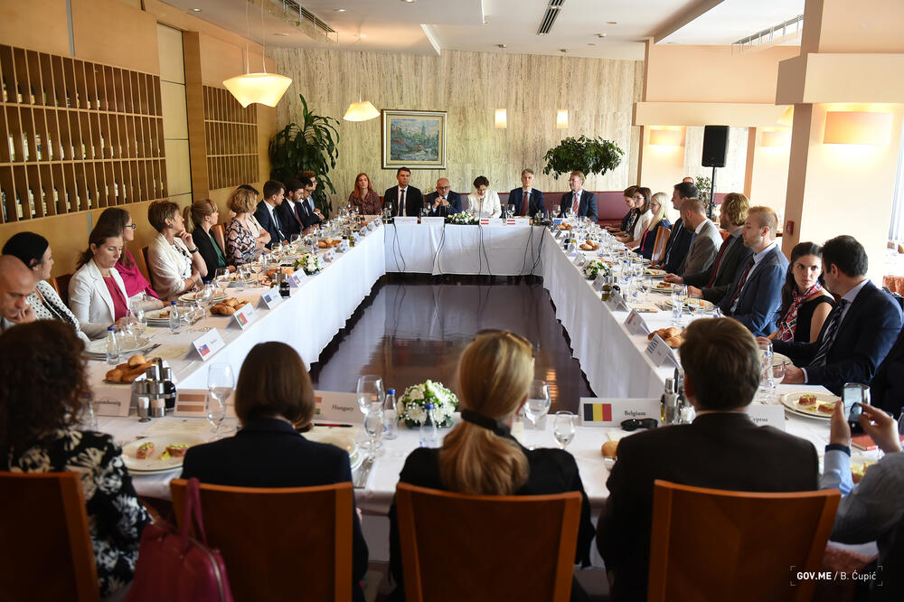 Darmanović COELA, Foto: Ministarstvo vanjskih poslova