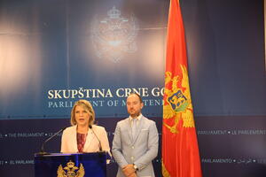 SDP: Potrebno smanjenje cijena goriva, nameti opteretili privredu...