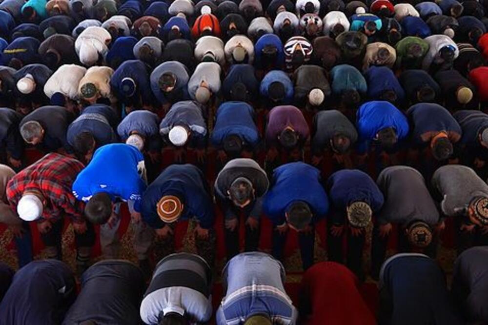 U traganju za Denijem, Foto: Filmski festival Herceg Novi