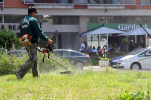 Zbog nepokošene trave u Podgorici niko nije kažnjen