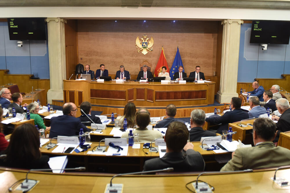 POSP sjednica, Foto: Savo Prelević