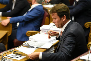 Konjević: Vlada obesmislila strategije, ugrožene državne finansije