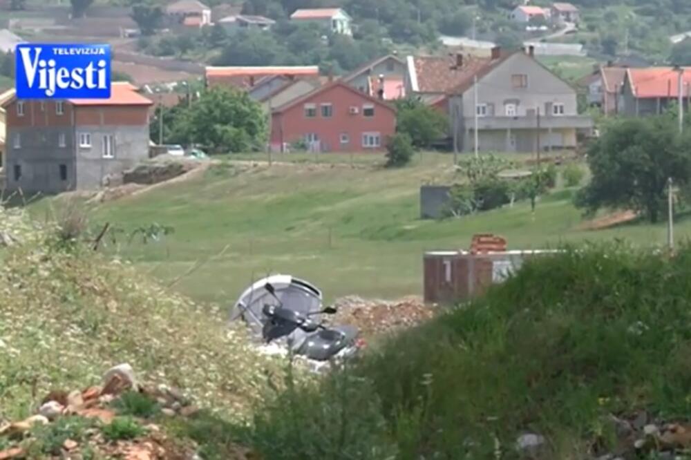 Legalizacija, Foto: Printscreen (YouTube)