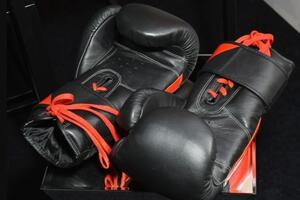 Bokseri Budve na pripremama u Rusiji