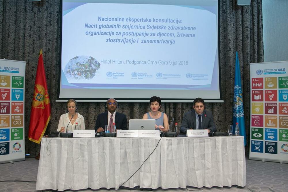 Radionica o odgovoru zdravstvenog sistema na zlostavljanje i zanemarivanje djece i adolescenata, Foto: PR Centar