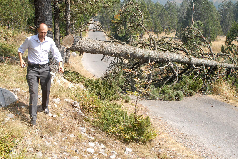 Vladan Juretić, Foto: Zoran Đurić