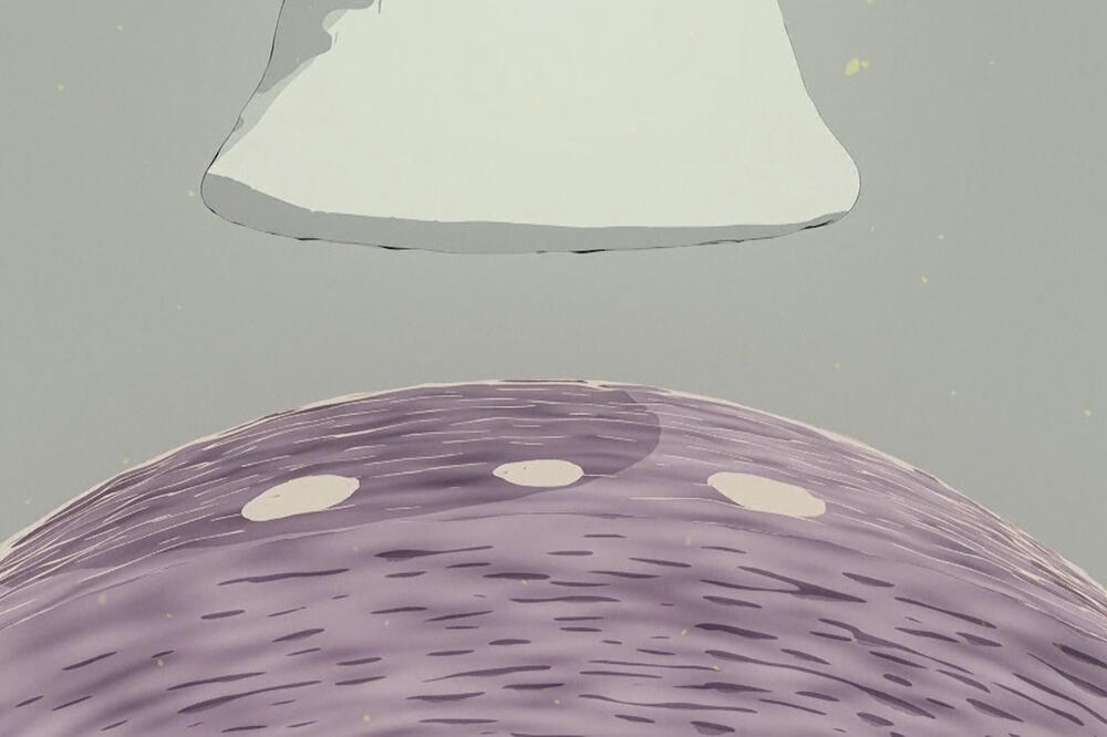 Kako djeluje novicok, Foto: Vijesti video