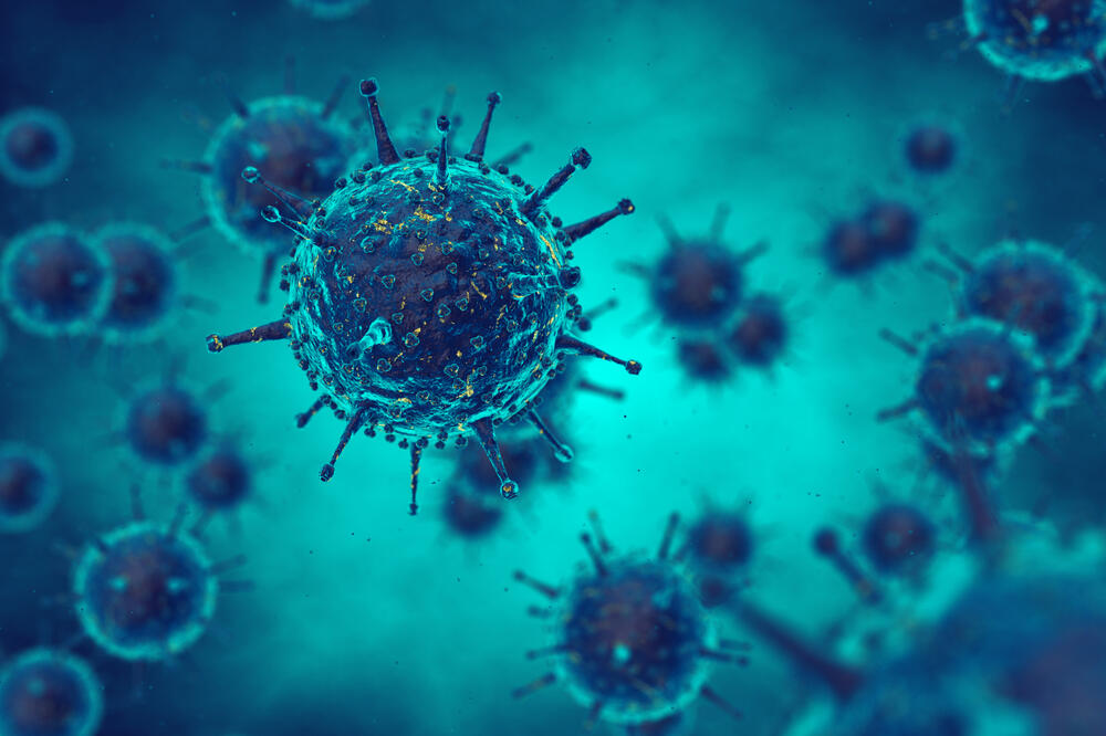 virus, Foto: Shutterstock