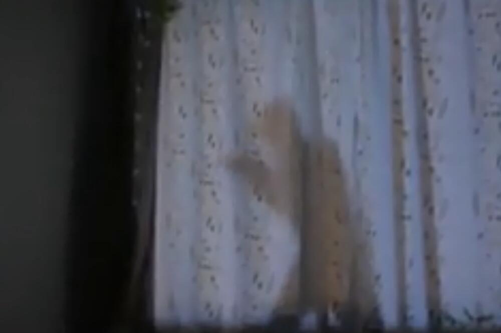 čovjek iza zavjese, Foto: Printscreen