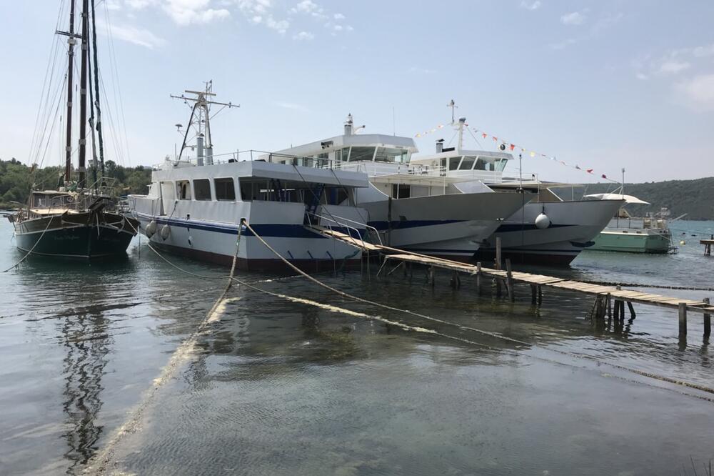 marina, Tivat, Foto: Morsko dobro