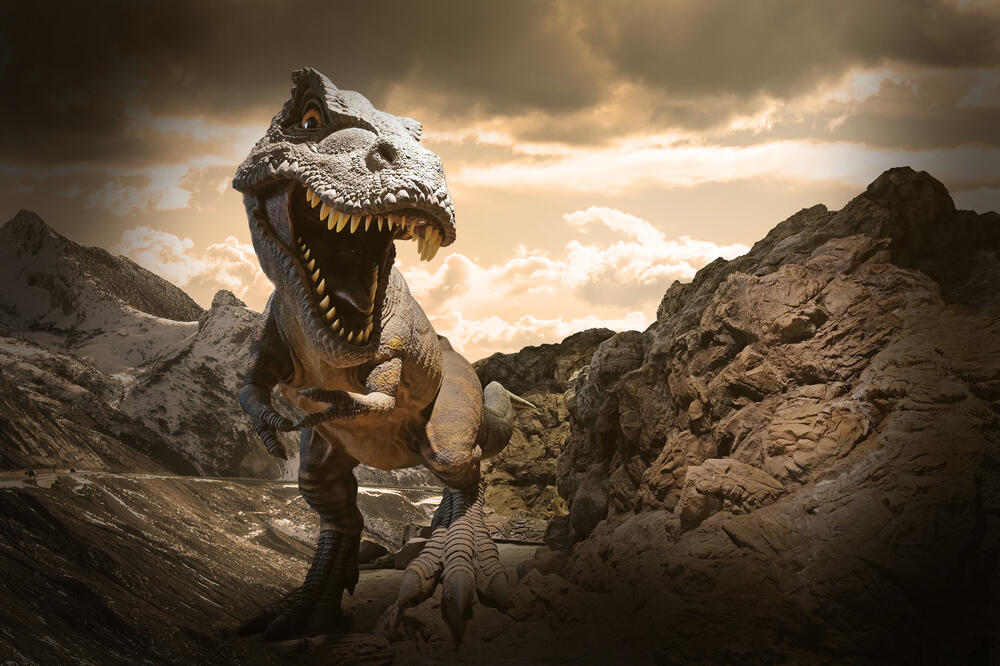 dinosaurus, Foto: Shutterstock