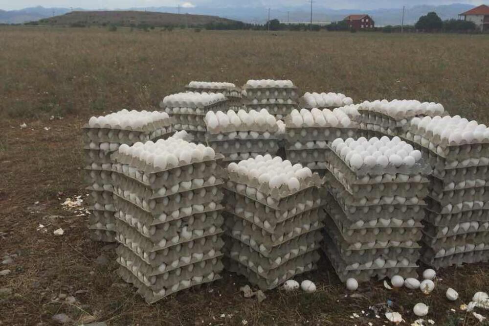 jaja deponija, Foto: Čitalac Vijesti