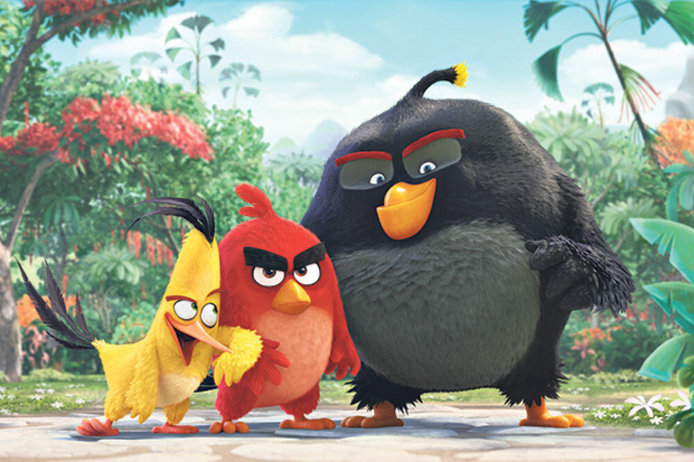 Angry Birds, Foto: TV Vijesti screenshot