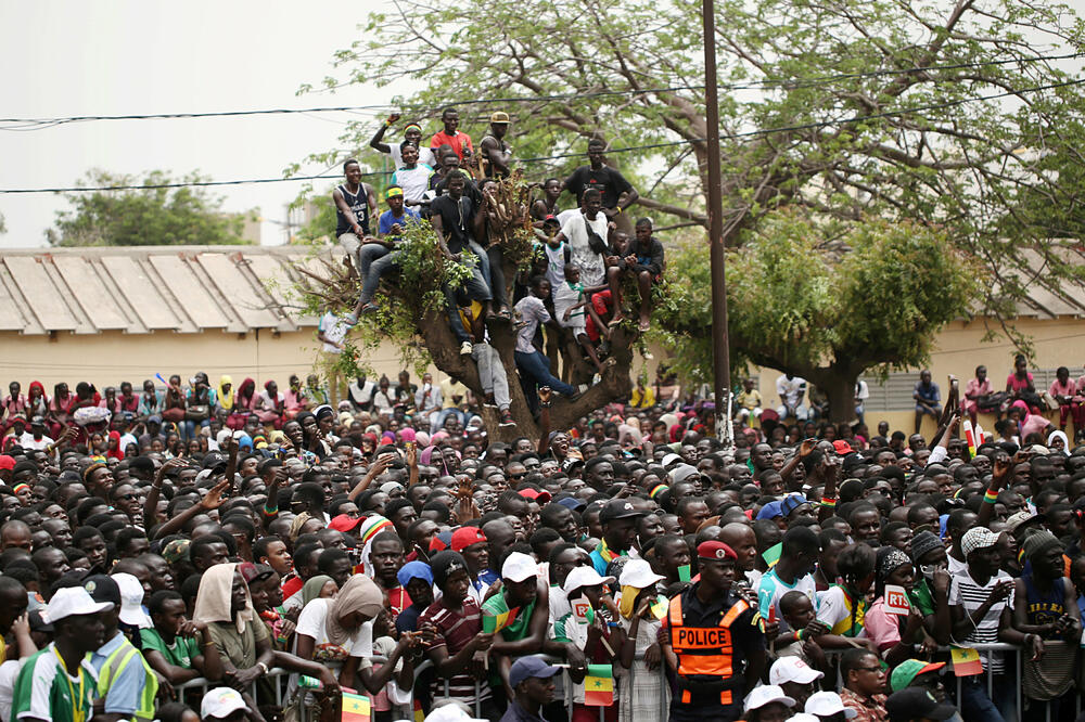 Senegal, navijači, Foto: REUTERS/Mikal McAllister