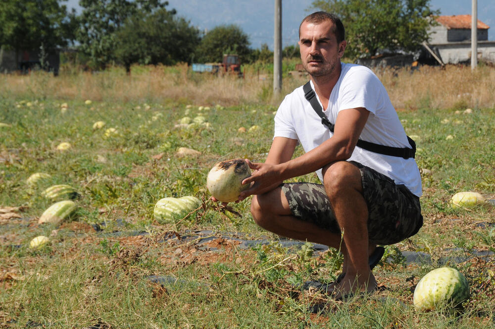 David Camaj, Foto: Luka Zeković