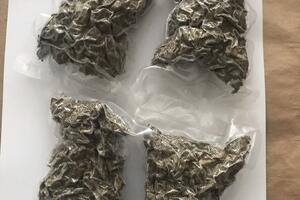 Herceg Novi: Oduzeto oko 1,6 kg marihuane, osumnjičeni uhapšen