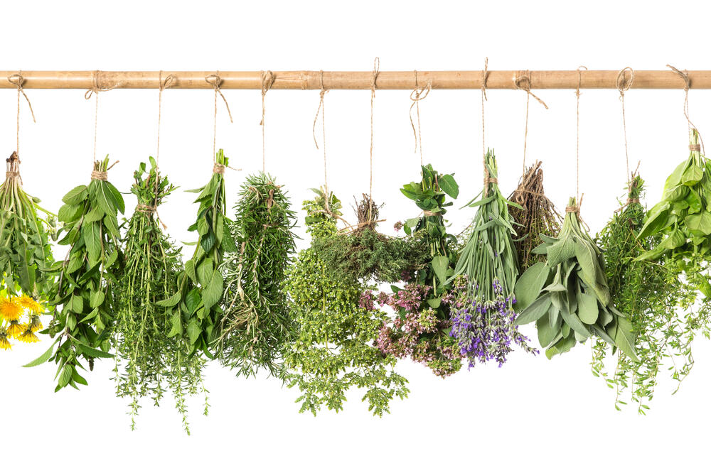 majoran, Foto: Shutterstock