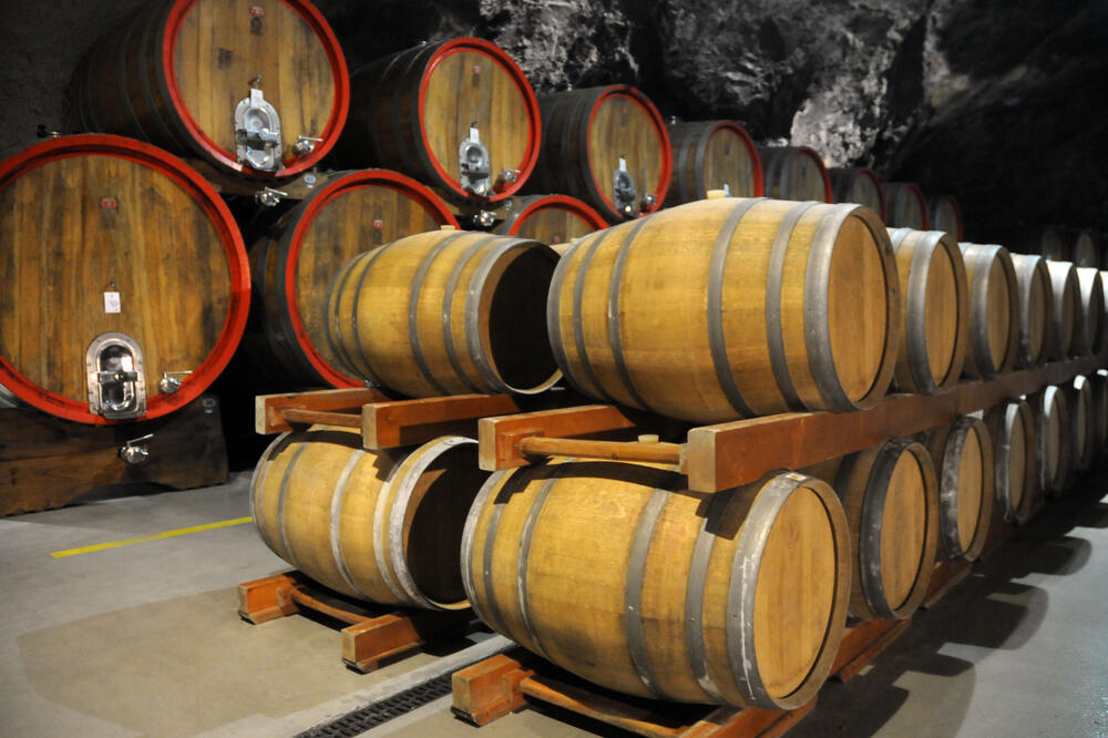 Plantaže, Foto: Luka Zeković