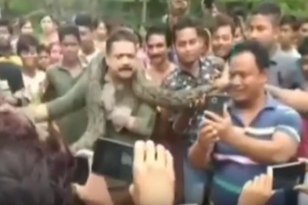 Indija rendžer zmija, Foto: Printscreen