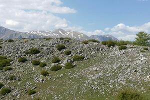 Promjenljivo oblačno, popodne moguća kiša