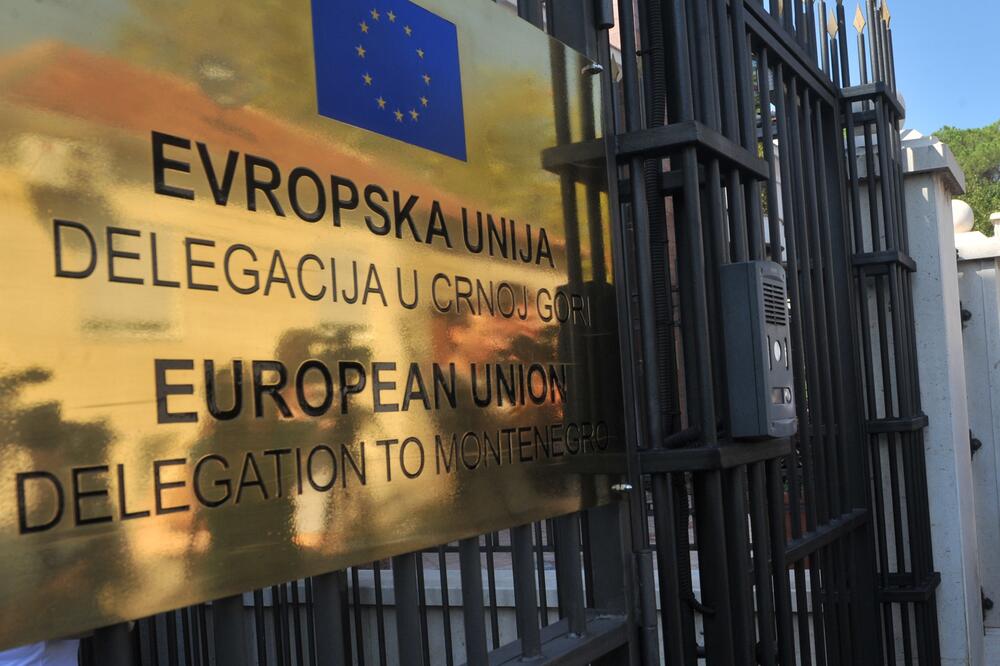 Delegacija EU, Foto: Savo Prelević