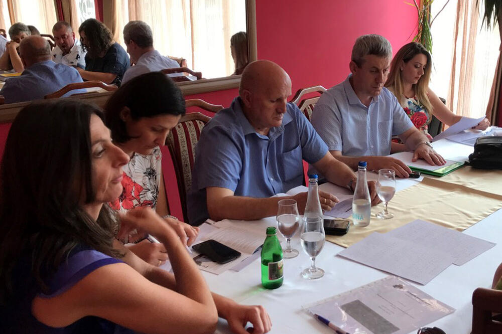 konferencija, osobe oštećenog vida, Foto: Radomir Petrić