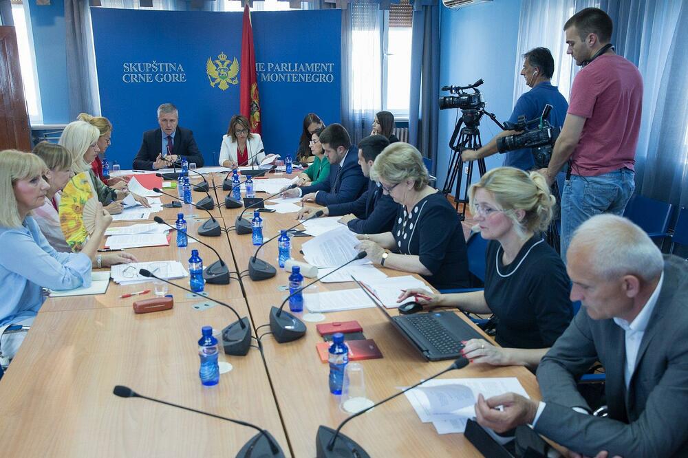 Odbor za politički sistem, Foto: Skupstina.me