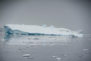 Topljenje leda na Antartiku alarmantno se ubrzalo: Od 1992....