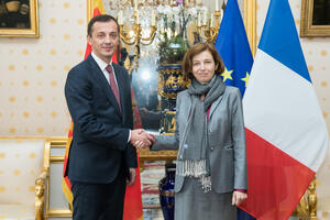 Bošković: Evropa ne može biti bezbjedna bez pune integracije...