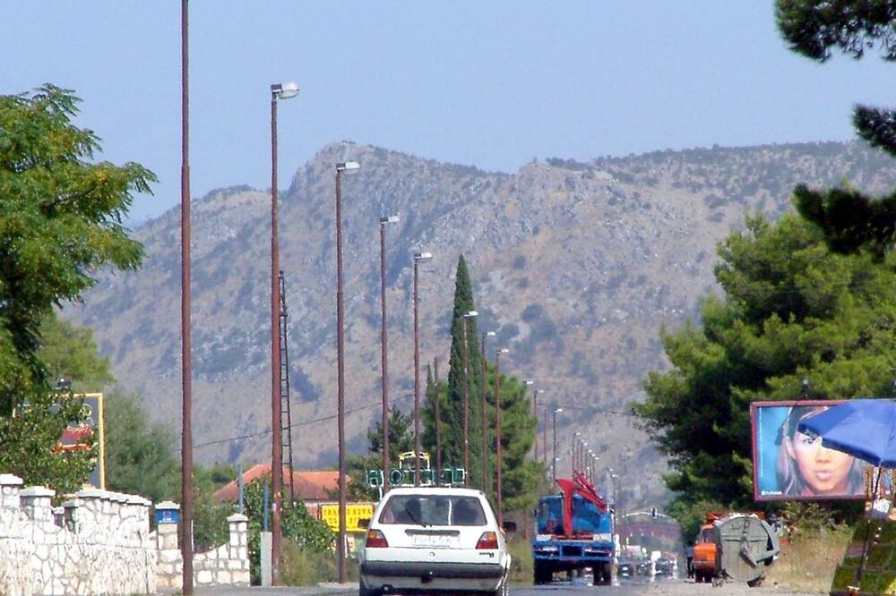 Masline, Foto: Arhiva Vijesti