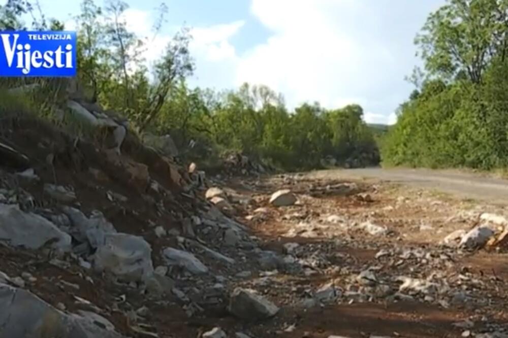 Dodoši, put, Foto: Screenshot (YouTube)