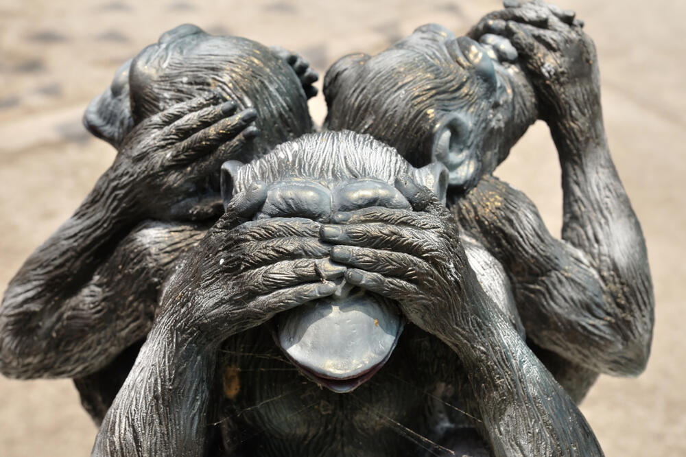 tri majmuna, Foto: Shutterstock
