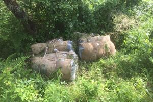 Plav: Policija u džakovima pronašla oko 120 kg skanka