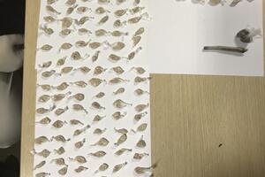 Policijska akcija u PG: Uhapšena jedna osoba, oduzet 191 paketić...